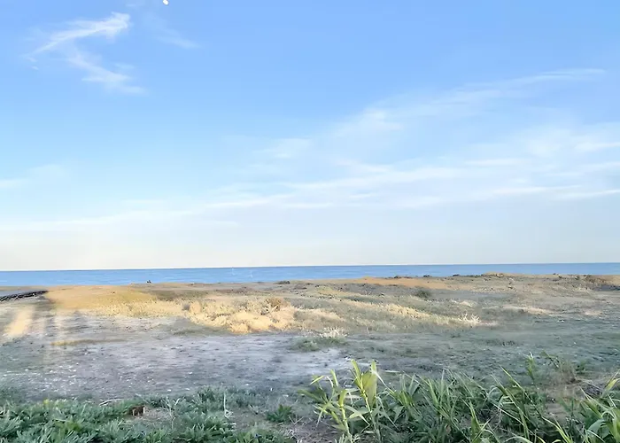 Lopimar Playa Malvarrosa